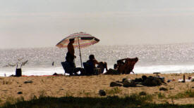 Relaxing on deserted pacific beach Baja California Mexico Photography  Photography by Bill Bell
