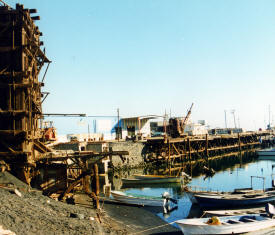 Baja California Mexico Photography  Photography by Bill Bell