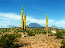rugged mountians Baja California Mexico Photography  Photography by Bill Bell