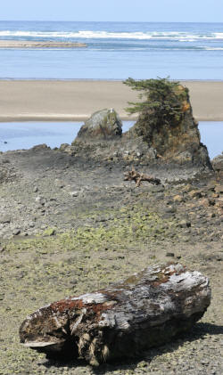 Oregon Coast Photography rugged coastline and Lighthouses Bill Bell Photography