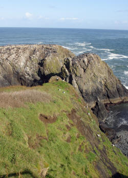 Oregon Coast Photography rugged coastline and Lighthouses Bill Bell Photography