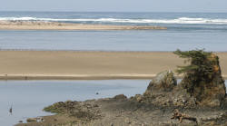 Oregon Coast Photography rugged coastline and Lighthouses Bill Bell Photography