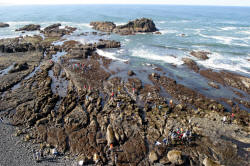 Oregon Coast Photography rugged coastline and Lighthouses Bill Bell Photography