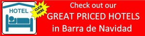 Barra de Navidad Hotels