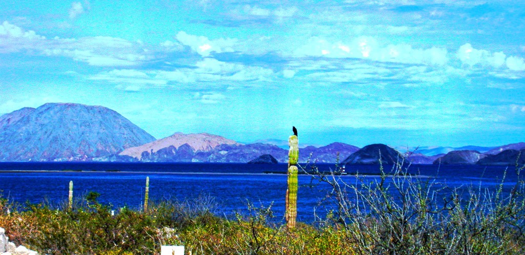 la bay 2