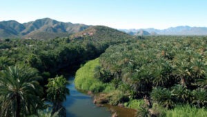 mulegerivervally