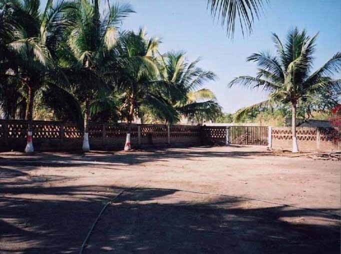 El Palmar