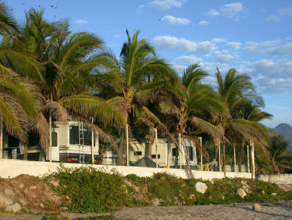 acapulco Trailer Park2