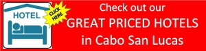 Cabo San Lucas Hotels