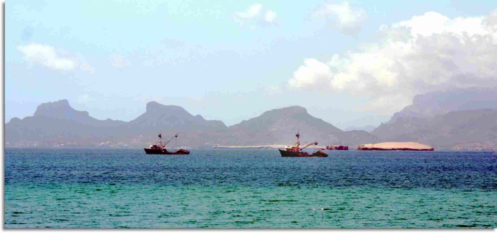 Guaymas Fish Boats head out to sea