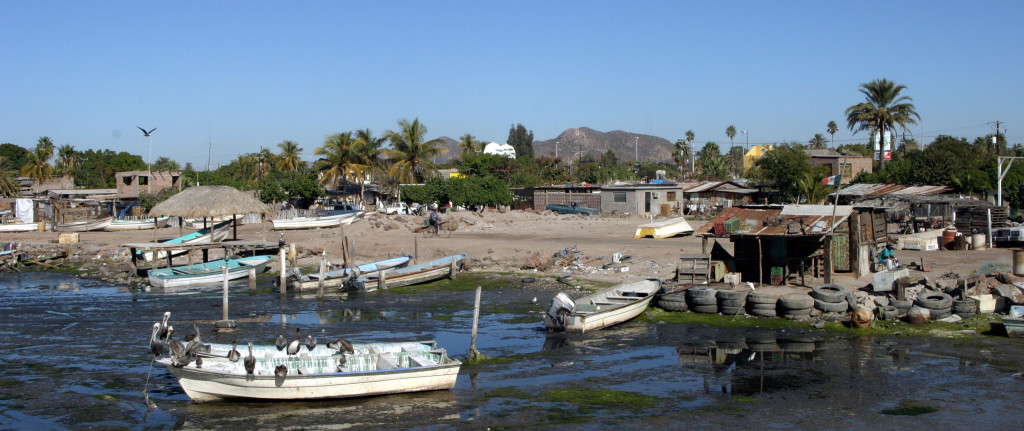 Fishboats