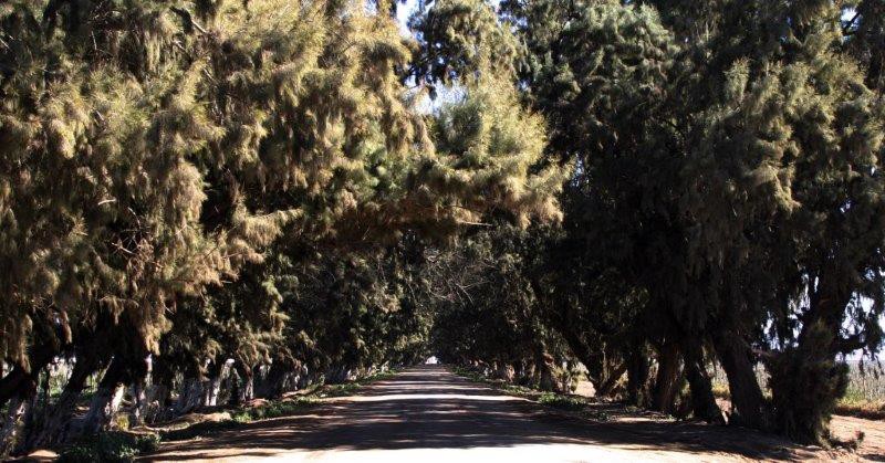 road to Cielito Lindo Rv 2