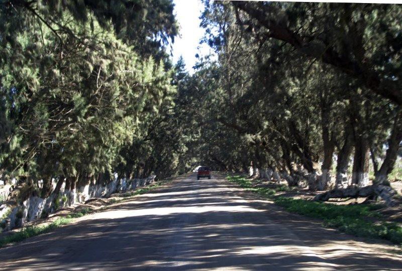 road to Cielito Lindo Rv