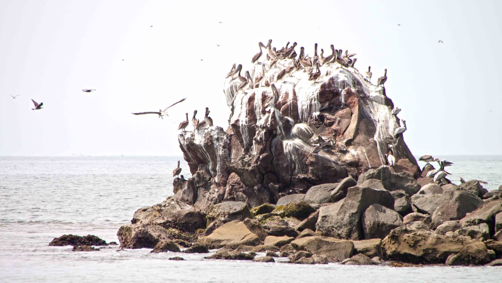 san blas_0065