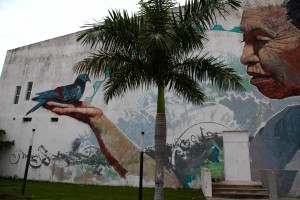 campeche_8714